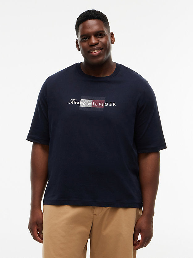 Plus Flag Graphic Jersey T-Shirt